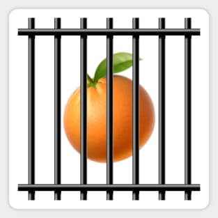 Orange Behind Bars Magnet